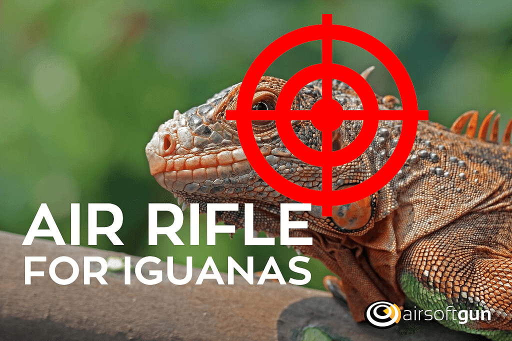 Best Air Rifle For Iguanas And 5 MustHave Features To Look For In Your